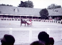 Kentucky Horse Park
